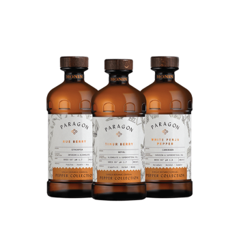 paragon-bundle-sva-3-paragona-1-3_2024